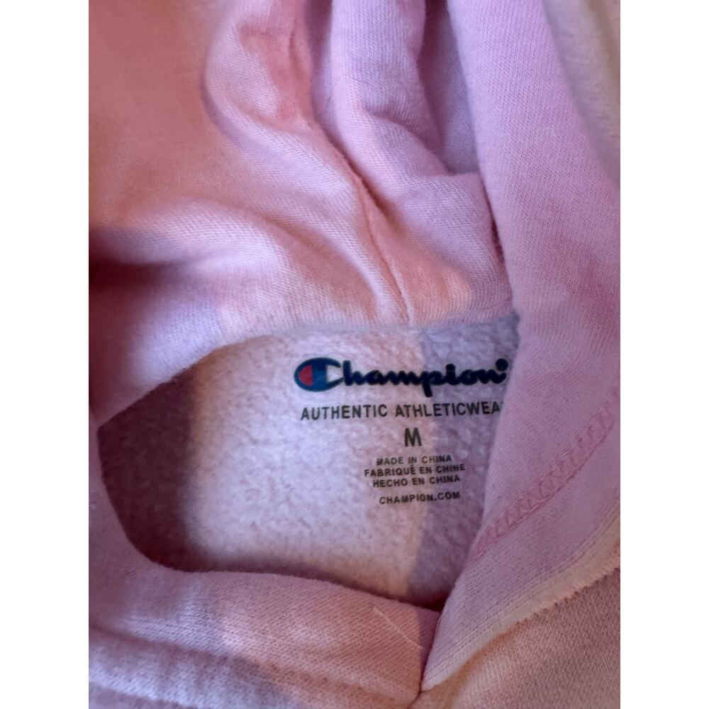 Girls Sweatshirts Lot of 3  Size Medium.  Hilfiger. Champion.  New Balance. - Picture 9 of 12